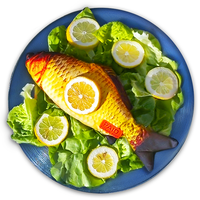 fish plate